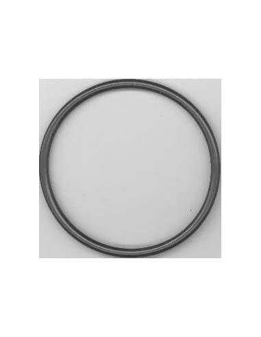 Garnitura cuva pompa de sape